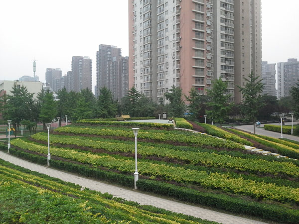 �����@�־G������