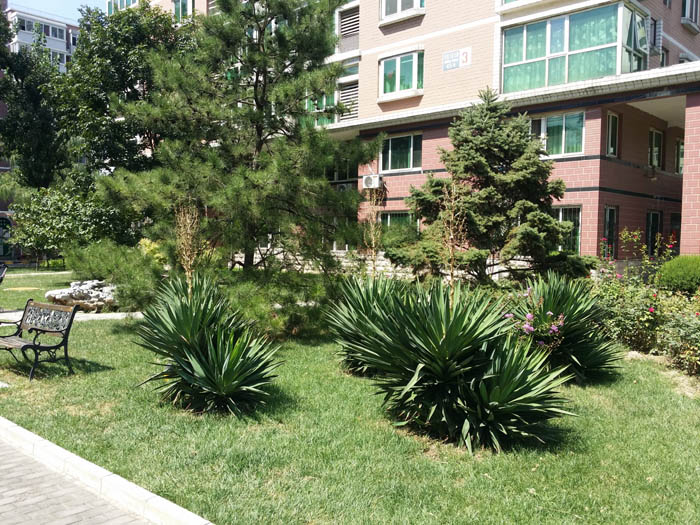 �r��֮����Է