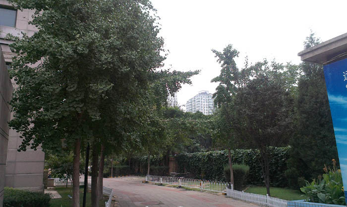 �h���оW��