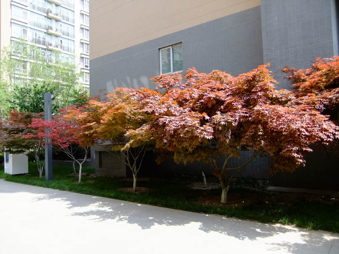 �h���L��