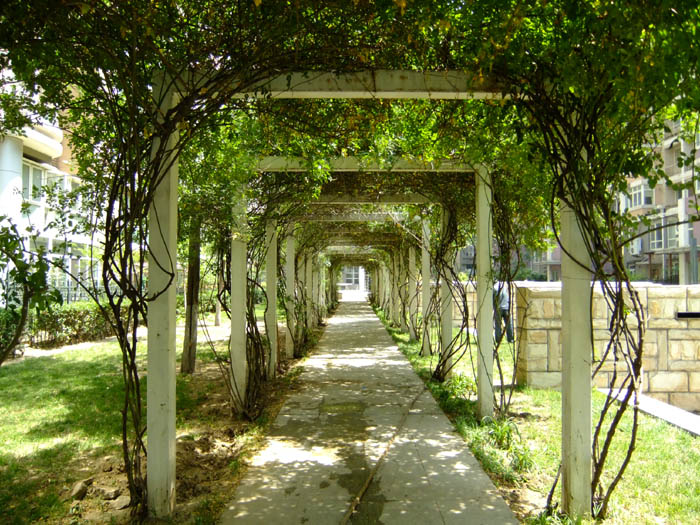 �h���L��