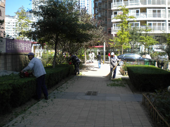 �T���F�����I1