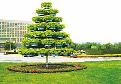 ���оG������