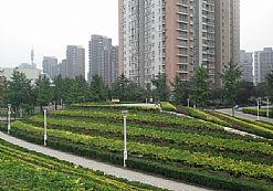 �����@�־G������