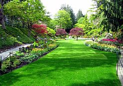 ���@�G���B�o