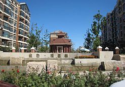 ��ɫ������