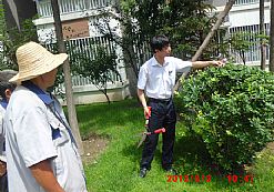 �T����Ӗ���F�����I