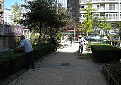 �T���F�����I1