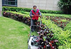 ��ƺ�޼����I